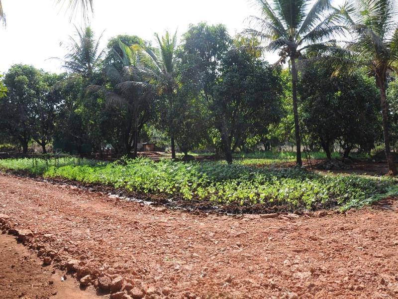 Red Roof Farmhouse Chiplun Exterior photo